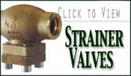 strainer valves